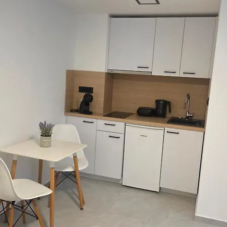 Vila Vesa - Free Secure Garage, Smart Access & Modern Comfo アパート *