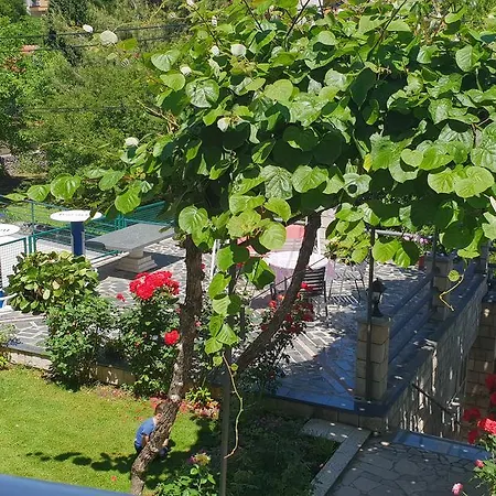 Vesa Apartment