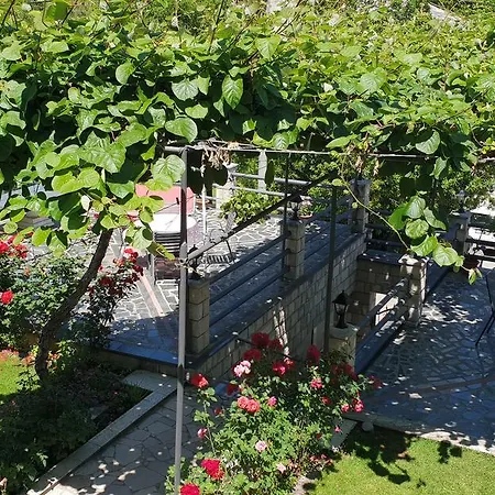 Vesa Apartment